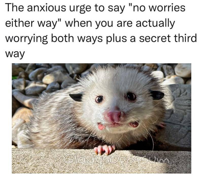 animal-anxious-urge-say-no-worries-either-way-are-actually-worrying-both-ways-plus-secret-thi...jpeg