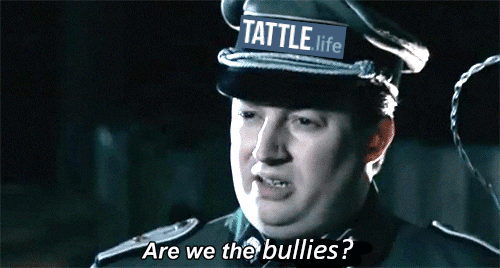 are we the bullies.png