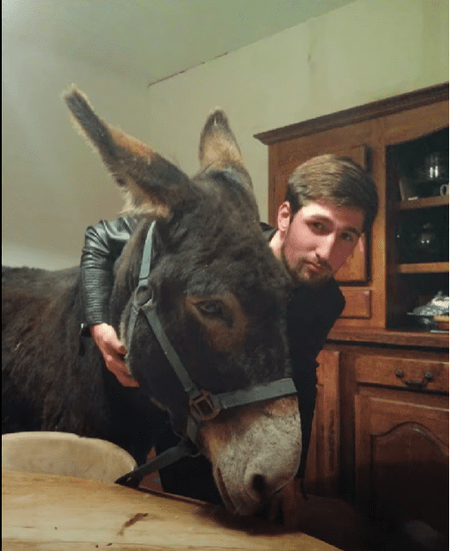 Ass with a Donkey.png