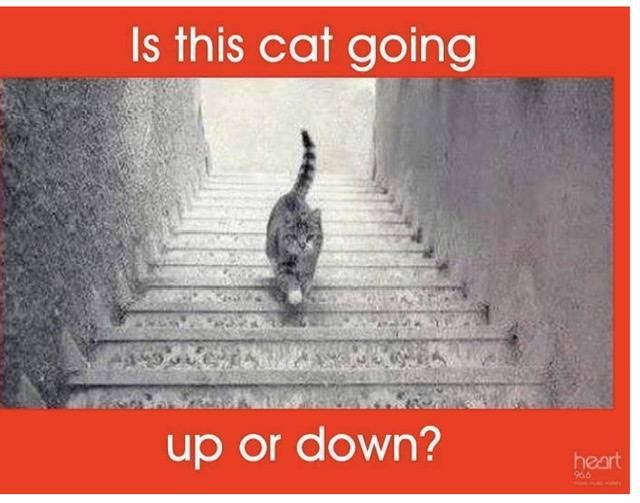 B5AF7B14-8F8D-4307-95E1-FE6CC2AD8185.jpeg
