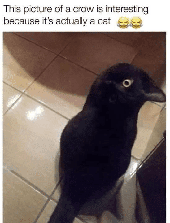ba1c01a034.png