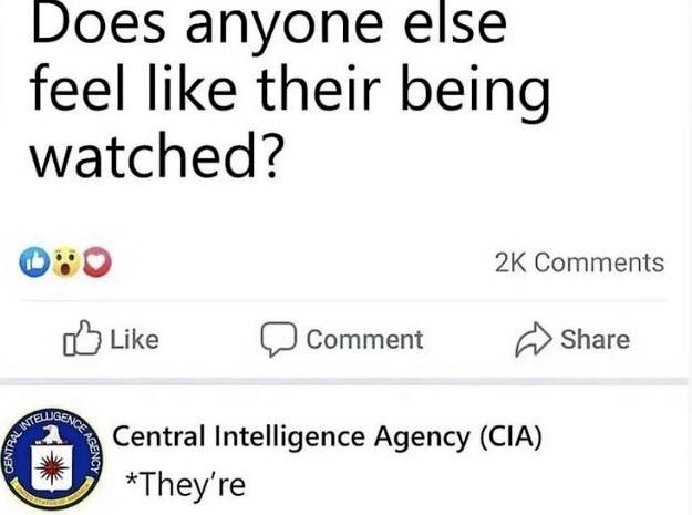 BADB1CF0-2A2F-4158-B772-6A2C3822B719.jpeg