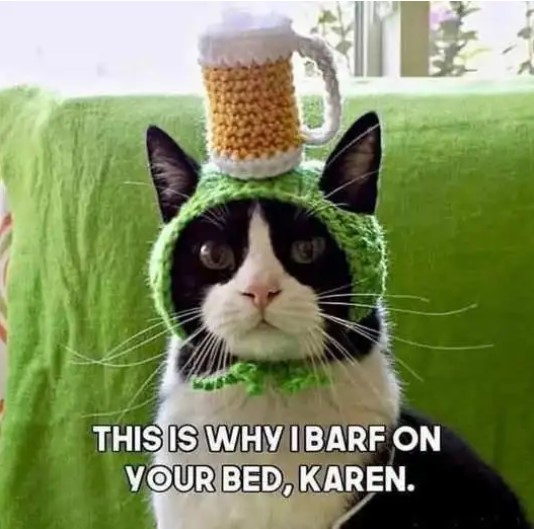 barf.jpg