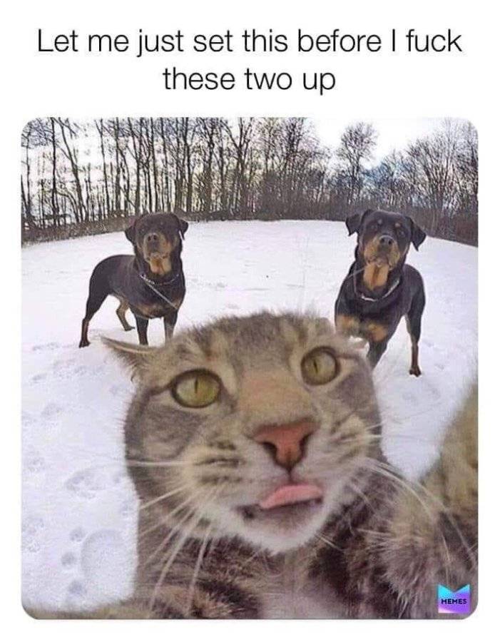 BctEJjy.jpeg