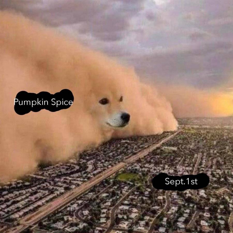 buibGRb.jpeg