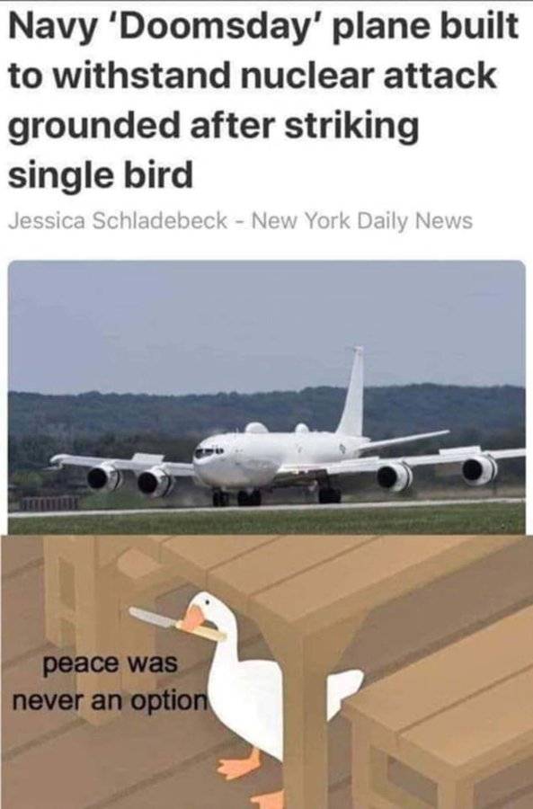 C06zBhd.jpeg