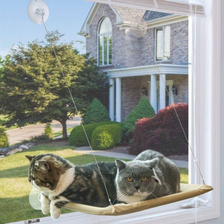 cat corner.jpeg