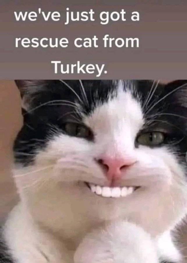 CE7C92D7-05D7-4BAD-BABF-0591721264B0.jpeg