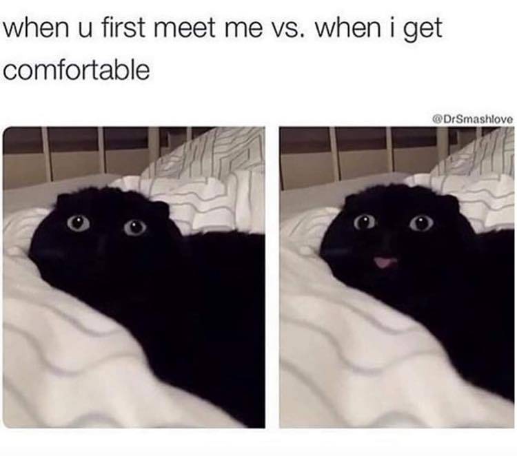 comfortable.jpeg