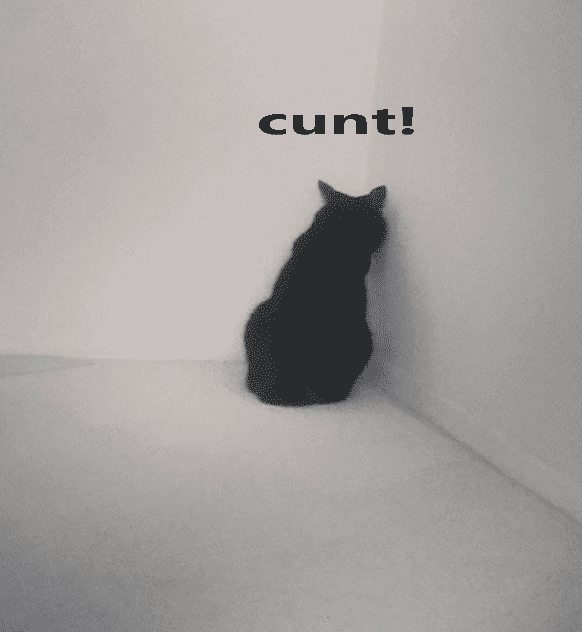 cunty cat (2).png