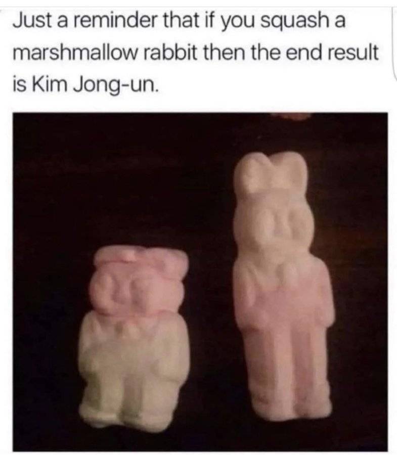 D1E76E6A-96DA-45FF-A574-5563B0C522E7.jpeg