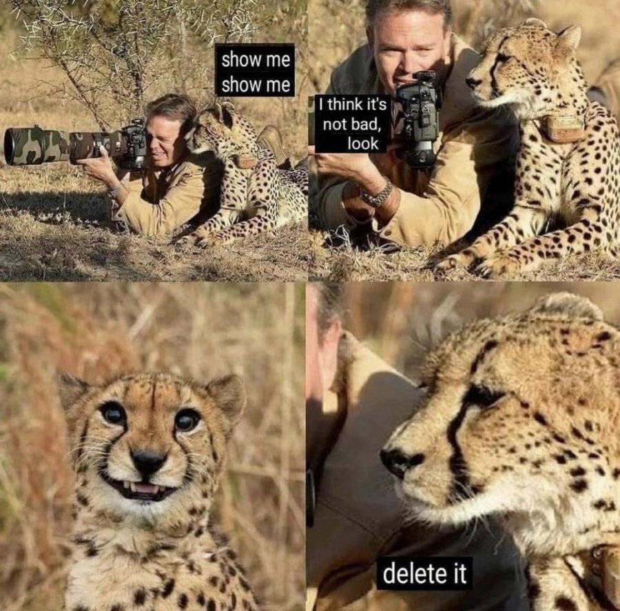 DA80B61B-784B-4610-847B-07CE29C3DFED.jpeg