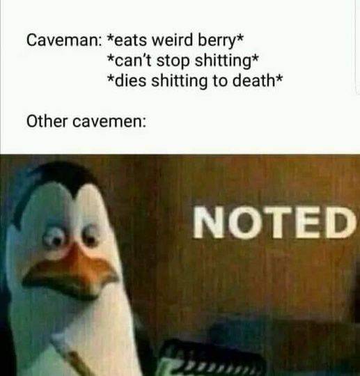 DE0BB223-FFCF-4537-A179-EAEAEE0C3027.jpeg