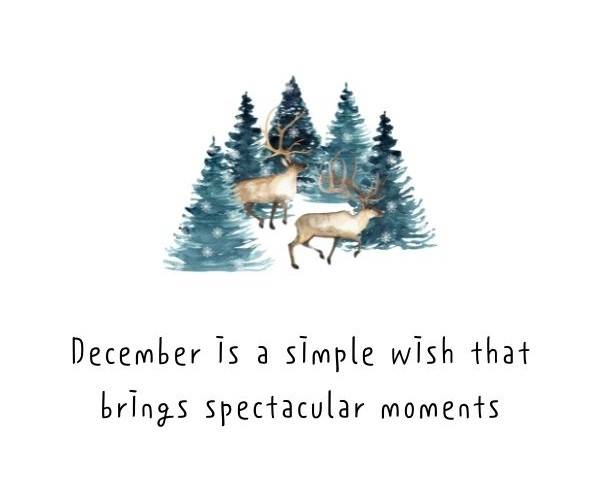 December-quotes-and-sayings-9.jpg