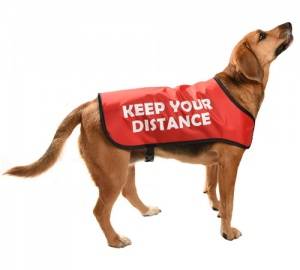 dog-warning-jacket-red.jpg