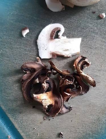 dried mushrooms.jpg