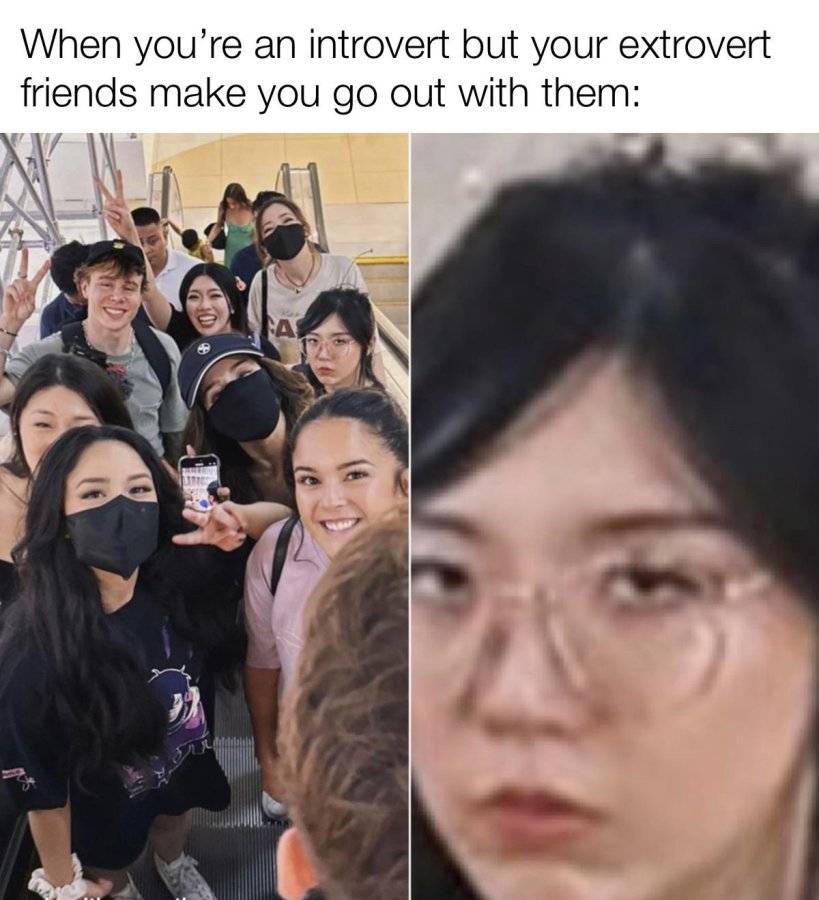 e2cf34f.jpg