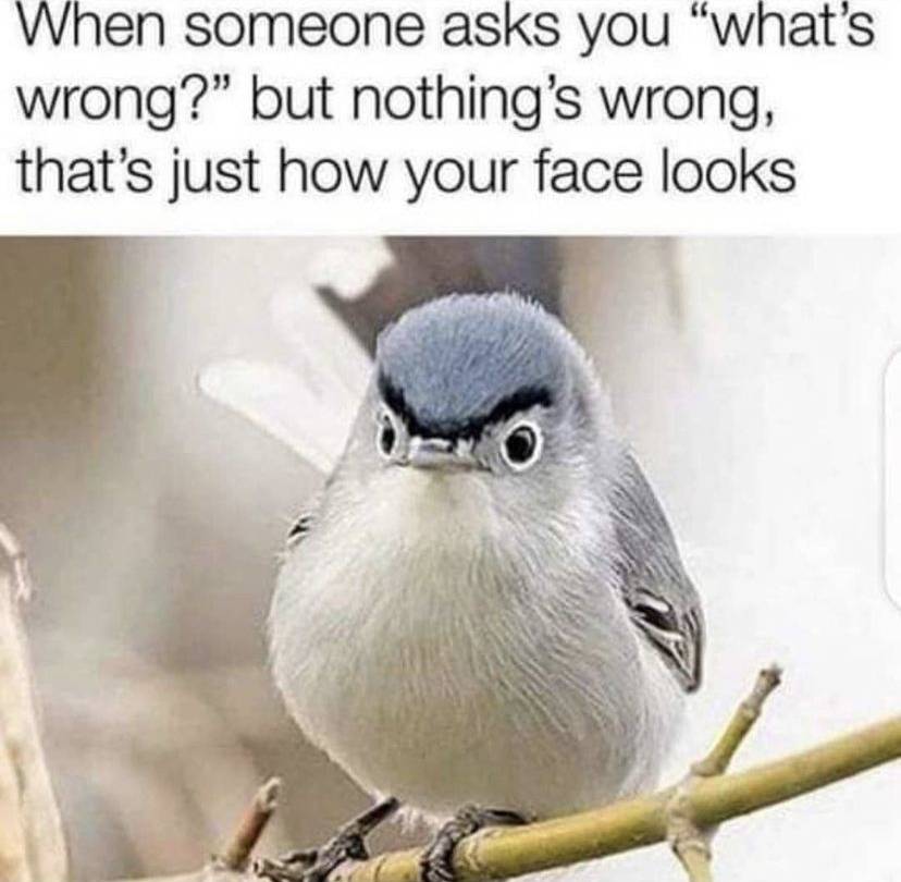 E72E1F35-AC8B-4C5D-9A54-9329461237A8.jpeg