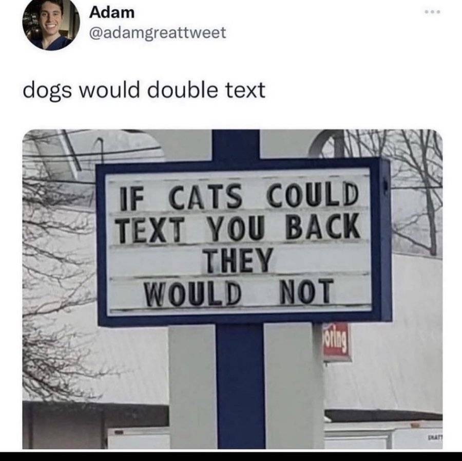 EE3B6B45-6F8E-4BF3-9EE5-8B910D8077FD.jpeg
