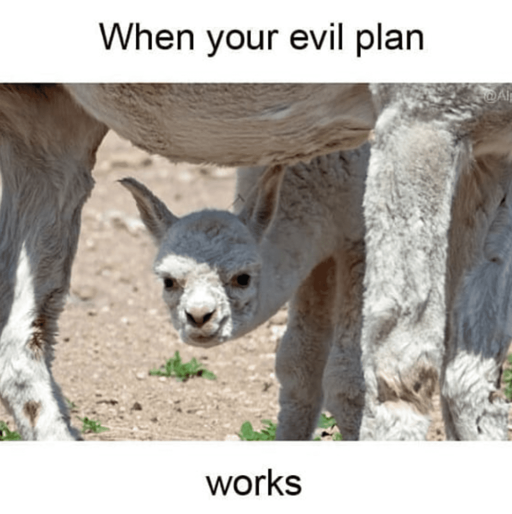evilplan.png