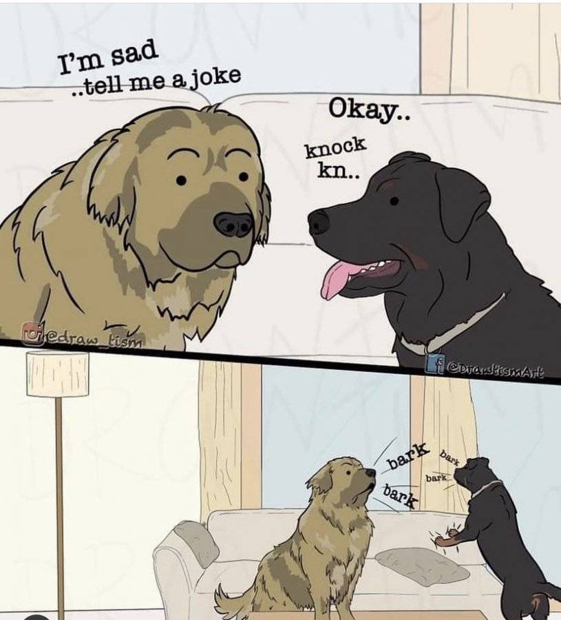 F05C9A53-786D-4F91-9DA3-E57B1CA9DFFD.jpeg