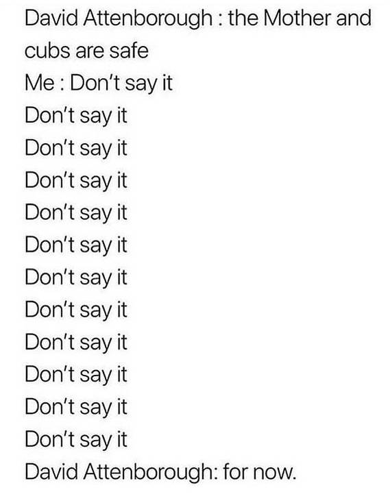 F0AF099C-AFD1-4835-B692-253DBF97D53B.jpeg