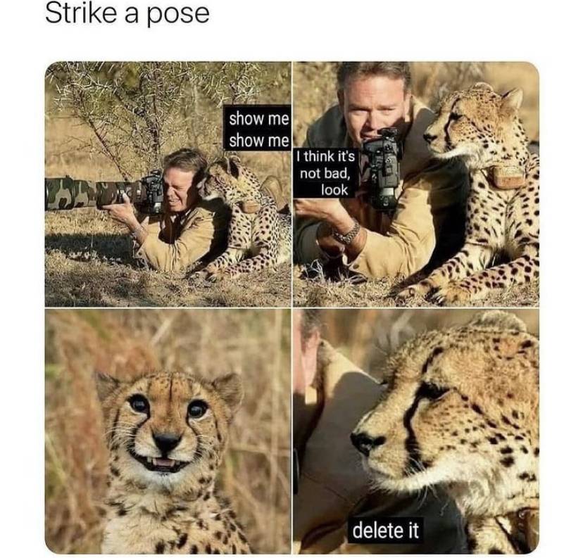 F2ED1D2A-52EF-4CA1-AF31-C68C4F57B9DB.jpeg