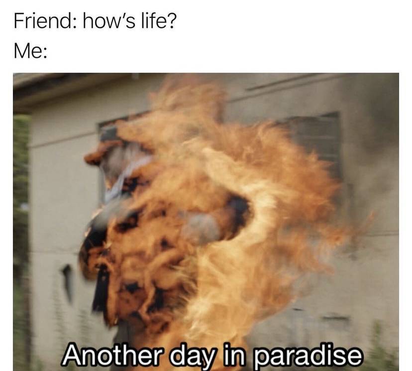 F7CB3E2D-D1BD-4DF4-9CA1-2E254985EFBF.jpeg
