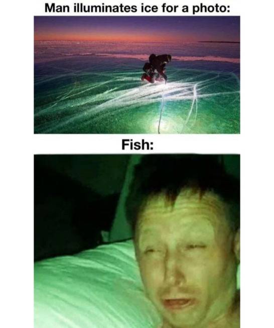 F8CE6FF3-BA74-40E5-A3DE-B4ED03C15F5E.jpeg