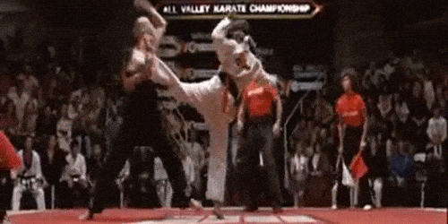 karate kid crane gif