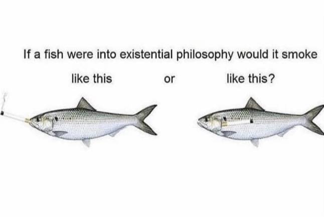 F9C2C607-A4E4-453F-B4AC-7842B471A8D1.jpeg