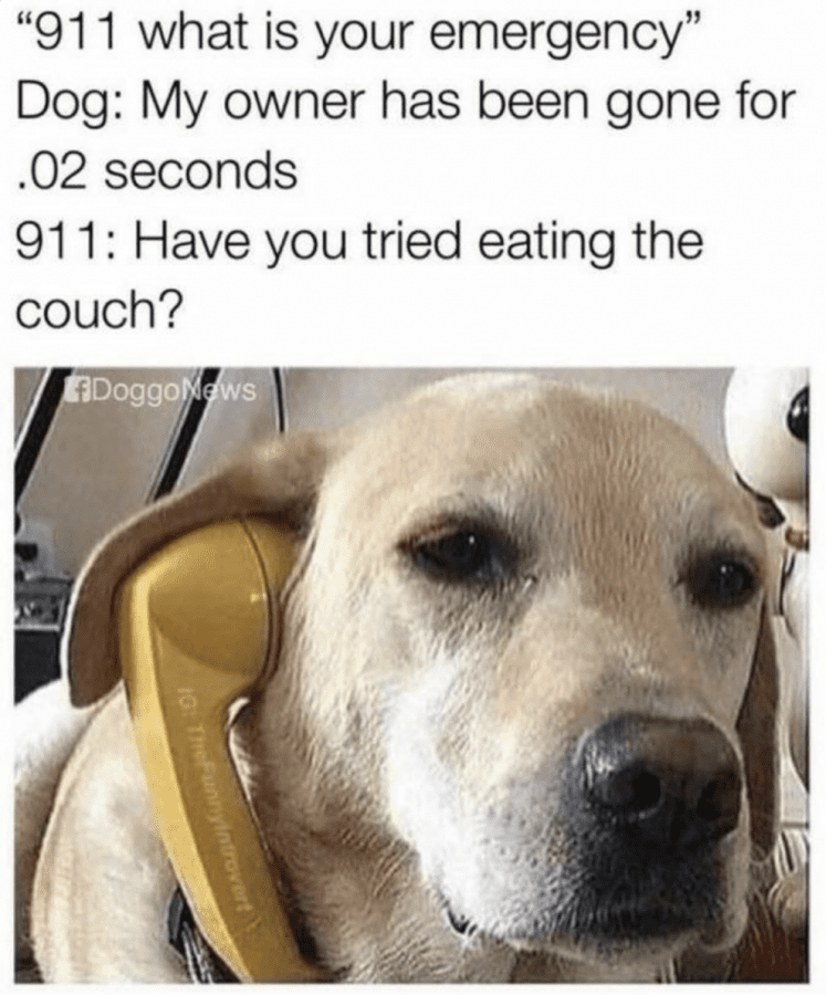 fc47f4ae31c22d5819bf72f3ceeb22ba.png