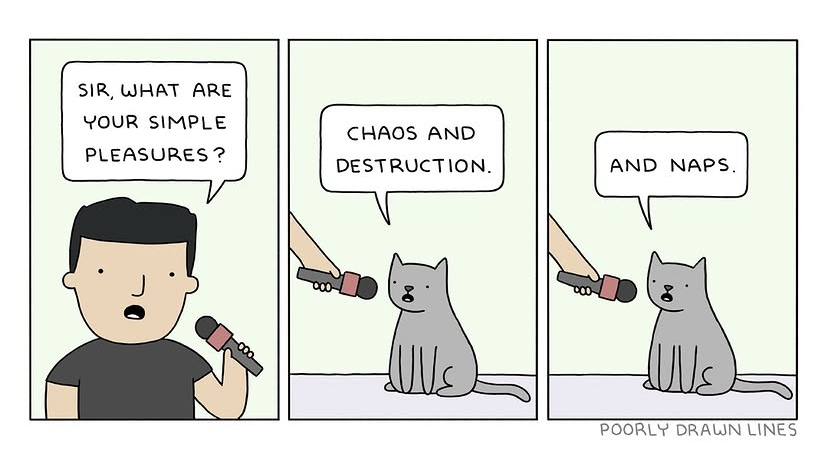 file.png