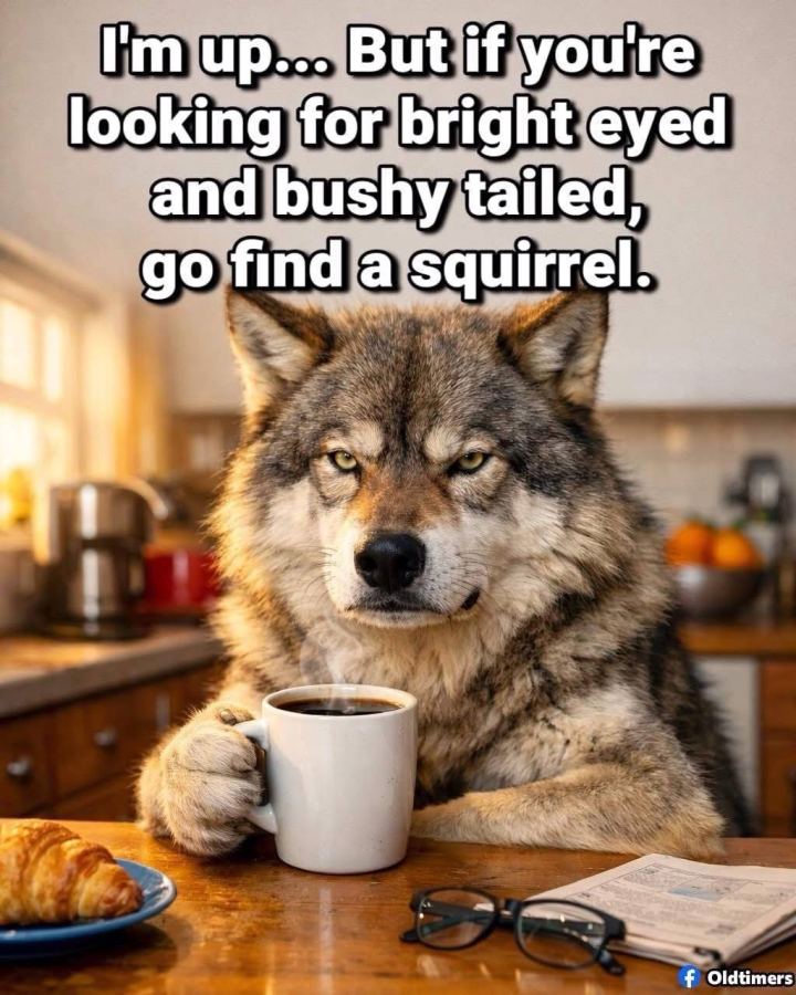 Find_a_squirrel.png