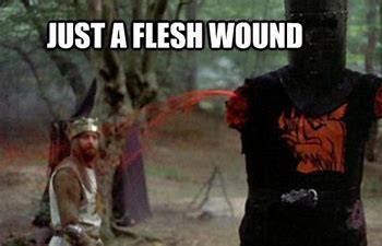 flesh wound.jpg