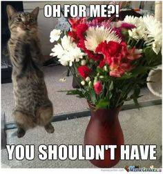 flowers for me.jpeg