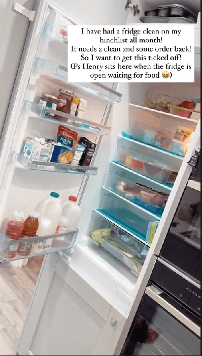 fridge 1.png