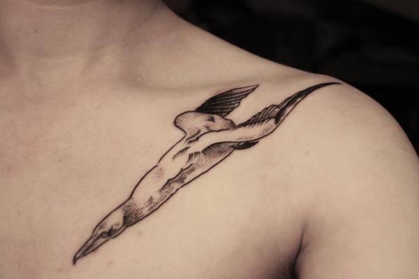 gannet tattoo.jpg