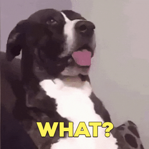 giphy (23).gif
