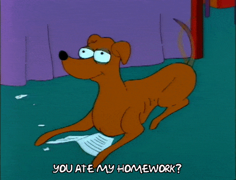 giphy (39).gif