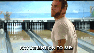giphy (66).gif