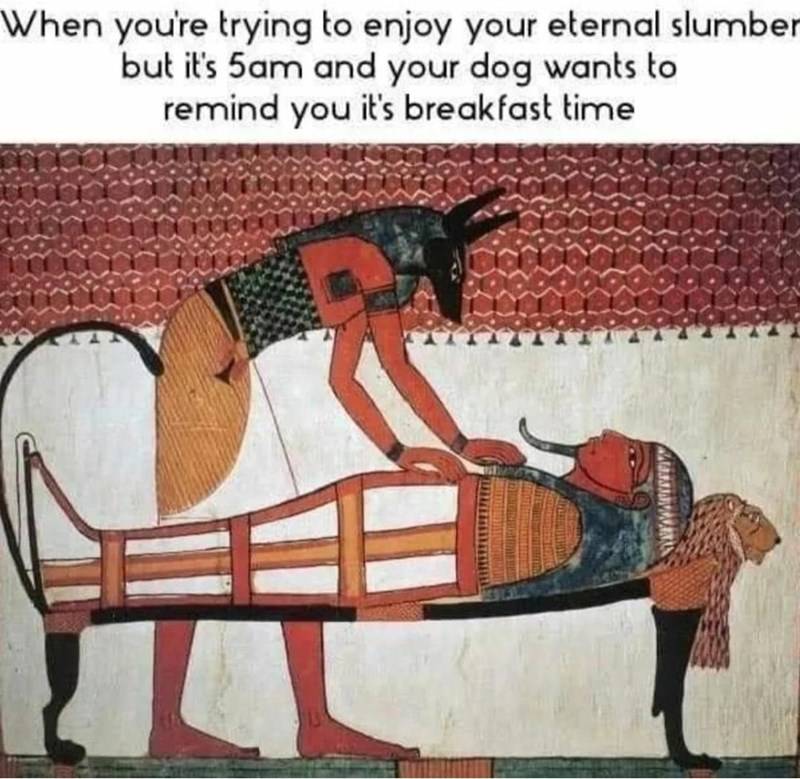 h5456A705.jpeg