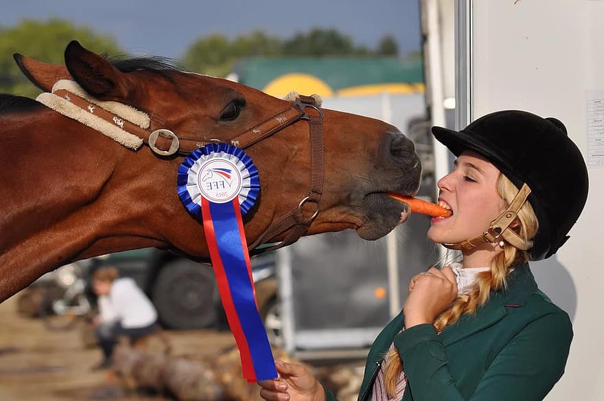 horse-girl-winner-carrot-complicity-equestrian-young-female-animal.jpg
