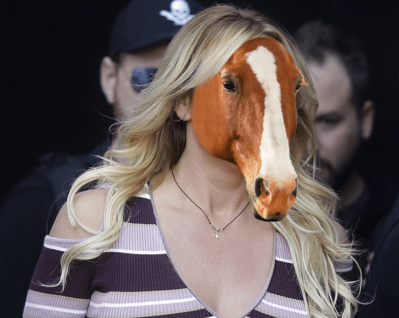 horseface.png