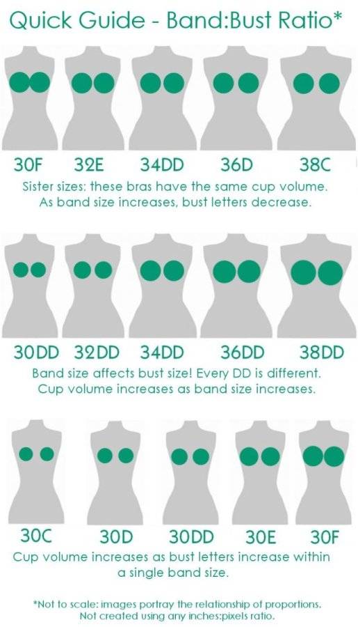 how-to-find-your-right-bra-size.jpg