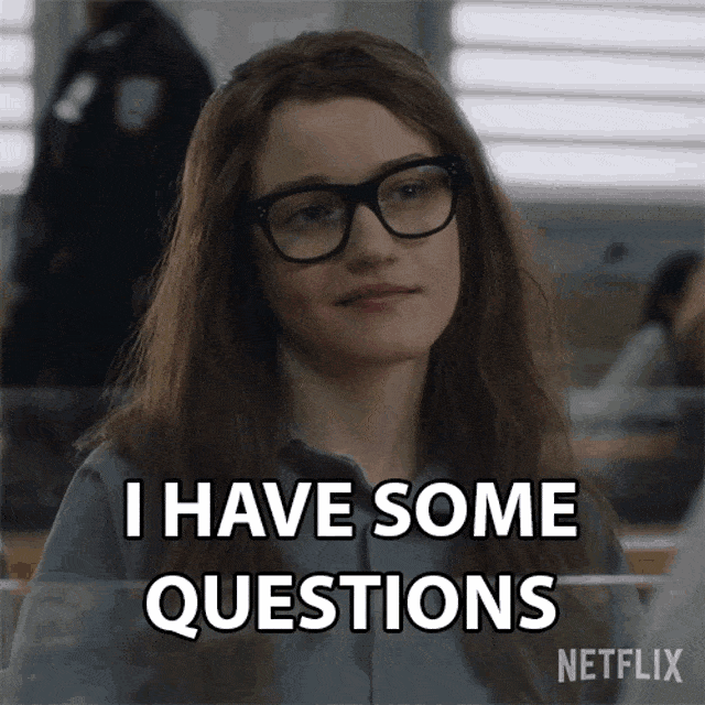 i-have-some-questions-anna-delvey.gif