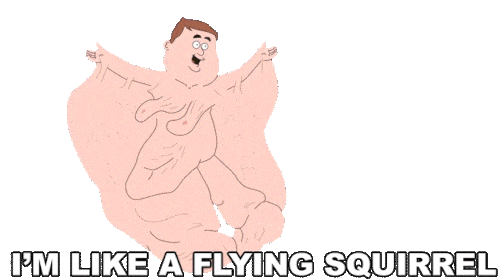 im-lika-a-flying-squirrel-dusty-marlow.gif