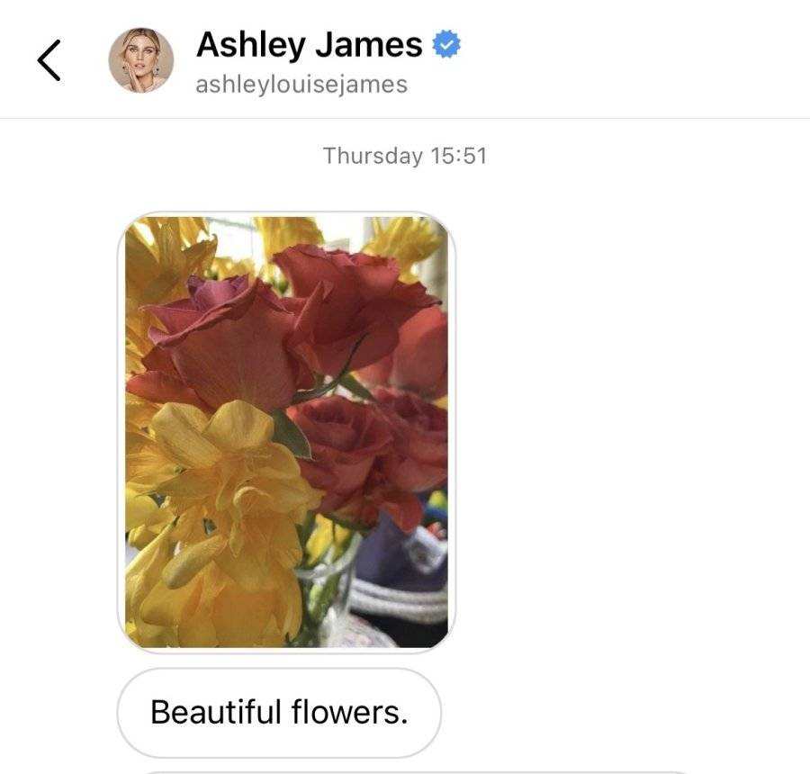 image2.jpeg