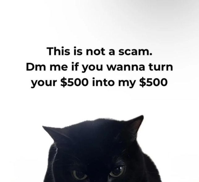 image3091.png