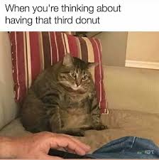 images (1).jpeg